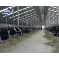 Poultry Farm Industrial Metal Frame Steel Prefabricated Cattle Barn Agricultural Shed